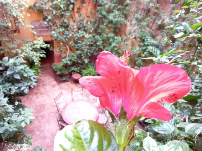 Terrasse d'un riad a marrakech au coeur de la médina