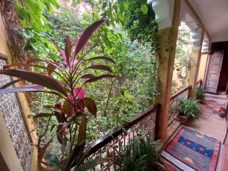 1 étage le Patio d'un riad a marrakech au coeur de la médina